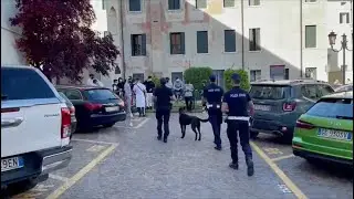Polizia locale con le unità cinofile contro degrado, alcol e spaccio in centro a Treviso