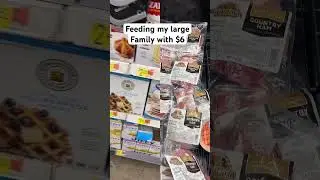 ‼️FEEDING MY LARGE FAMILY WITH $6 #groceryhaul #easymeals  #budget #couponcommunity