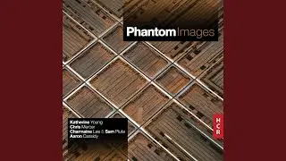 Phantom Image
