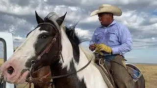 O&rsquo;Loughlin Ranch Cattle Drive - Miami, TX - July 23, 2020