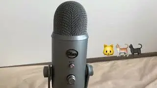 Christmas special （Meow ASMR）🐱🐈🐈‍⬛
