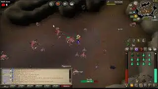Zaros RSPS | Late night slayer