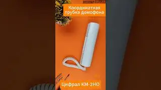 Координатная трубка домофона Цифрал КМ-2НО (обзор) | Safety Seller