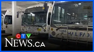 Halifax Transit adds 60 electric buses