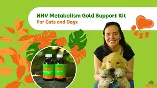 NHV Metabolism Gold Support Kit For Cats and Dogs