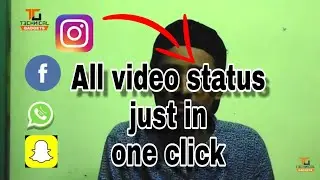 Vidlike The great android App to enjoy whatsapp,facebook,instagram,tiktok,on your gallery.