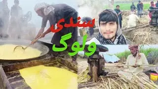 Sindhi vlog #villagelife#sindhiradhno #indiansindhi #villagelife 