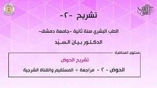 تشريح 2 | الحوض 2 | مراجعة + المستقيم والقناة الشرجية | د.بيان السيد