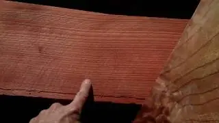 (114) The difference between redwoods