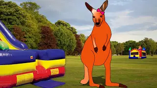 inflatable safety Instructions