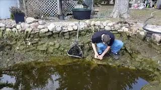 How To Spring Clean Your Pond