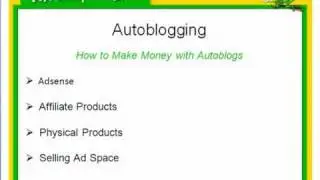 Make Money With Autoblogging