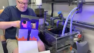 Neptune Apex Cor20 replacement (Part 1)