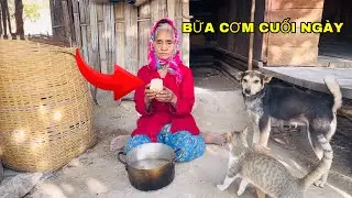 BỮA CƠM NGHÈO NHẤT Vùng Cao: Bà Cụ Và Đàn Chó Chỉ Có Mít Luộc - tập 753
