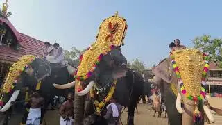 moothakunnam temple paramekkavu kasinathan 2026