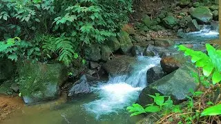 Night River Flow Ambience – Peaceful Moonlit Water for Resting and Deep Sleep