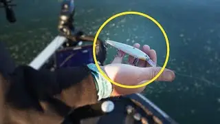 Pre-spawn Jerkbait fishing with Dustin Connell