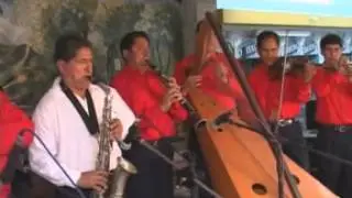 gumersindo espinoza nacion el amigo sillapatino  MALA VIDA