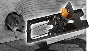 MT-03 MOUSE TRAP RAT TRAP CATCHER PEST CONTROL EXTERMINATE RATS AND MICE PERANGKAP TIKUS