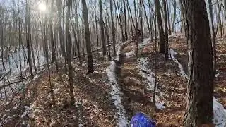 Snow Day Single Track