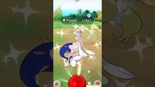 First Ever✨Shiny Primarina On Community Day #pokemongo