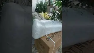 Ice snow flex machine 80kg per day capacity, orange juicer hand op Dispatch for Siddharthnagar UP