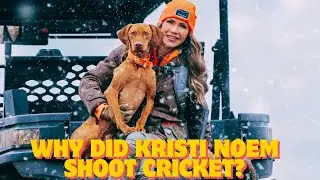 Why did Kristi Noem shoot Cricket? 🔫Mandy The Mystic Tarot ||