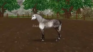 Sso-spoiler!!!! New andalusian animation