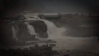 Stories of Willamette Falls: Dede Montgomery