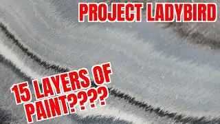Project Ladybird 4- We HAD to strip the car