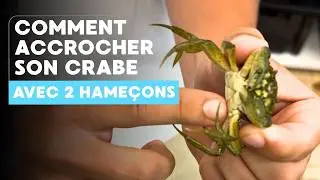 Petite technique pour accrocher un crabe🦀