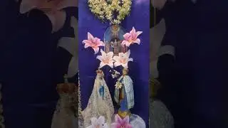 Bethrothal of St Joseph #stjoseph #sanjos&eacute; #homealtar #mothermary #bethrothal