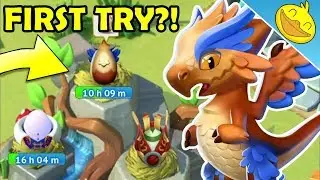 New HARPY DRAGON Breeding Guide! How to Breed It + More Update Features! - DML #1028
