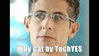 Why Cat by TechYES
