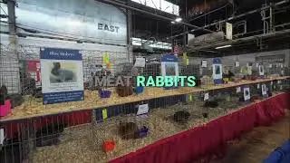 Pennsylvania Farm Show: Butter Sculptures & Beef Shows! #shorts