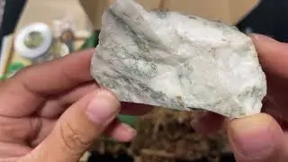 Sacred Space Crates~Element of Earth 🌎 July 2023