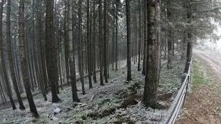 Sadova - Radauti