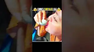 Chinese Furtilize Egg eating 😱 #shorts #trending #viral #facts #knowledge