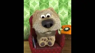 Der hund ist genervt