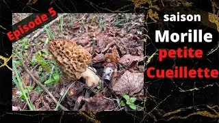 Morilles / Saison 2022 / Episode 5