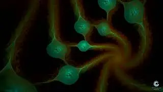 Fractal Waves 1 - colorful fractals in slow motion and ambient spa music