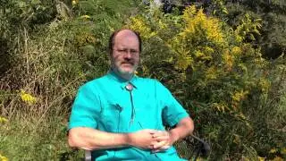 Conscious Food: Sustainable Growing, Spiritual Eating
