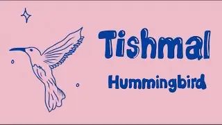 Tishmal - Hummingbird (Official Lyric Video)