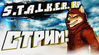 🟩STALKER RP ИСТОКИ🟩Пробуем новый рп проект!) Лучший Stalker RP в Garrys Mod? Играем)🟩