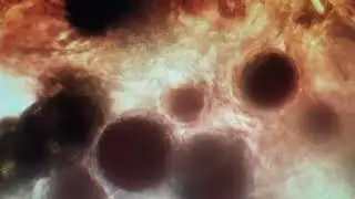 Blood rain (pre covid rain samples 2019) mixed with freshly extracted human blood. strange reaction.