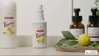 Экологически чистые натуральные чистящие средства   Young Living Essential Oils