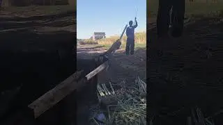 🇪🇬14.01.2026 Луксор.🗿⚱Производство 🛋мебели из финиковой 🌴🌴🌴🎋🎋