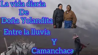 La vida diaria de Doña Yolanda entre la lluvia y camanchaca