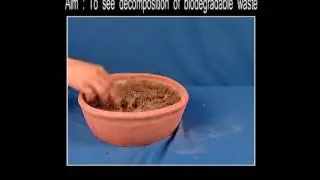 Science Experiments  - To See Decompostion Of Biodegradable Waste