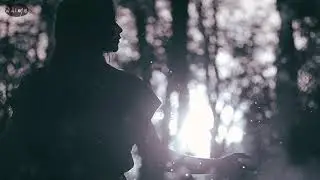 Hymns for the Angels - Disappearing Shadow